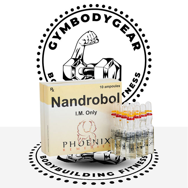 NandroBol